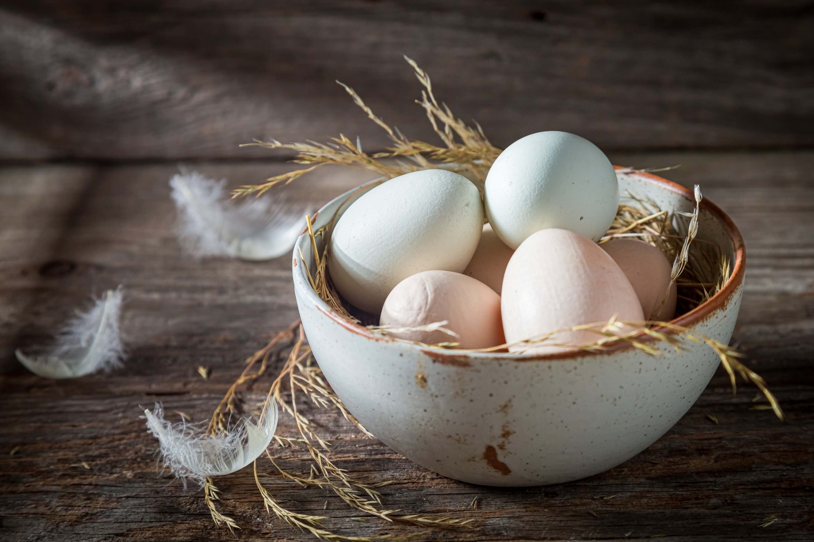 Genel Yumurta Türleri Nelerdir?