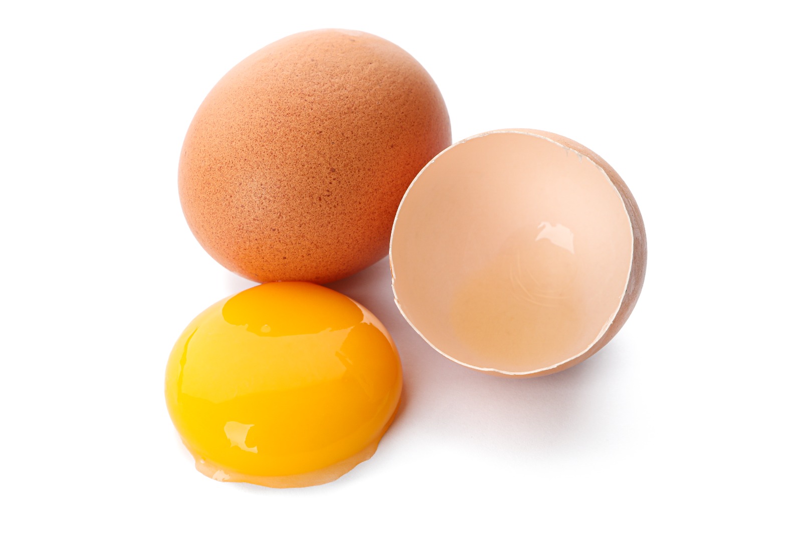 Organik Yumurta Nedir?